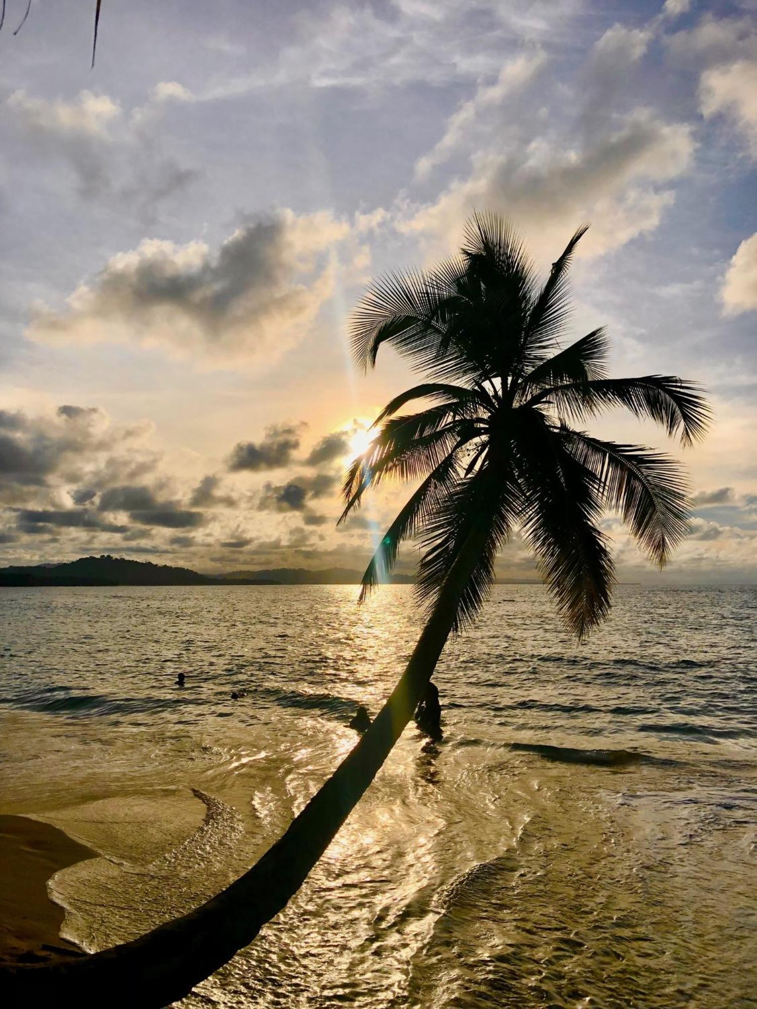 Puerto Viejo de Talamanca Cabinas Ole Caribe מראה חיצוני תמונה