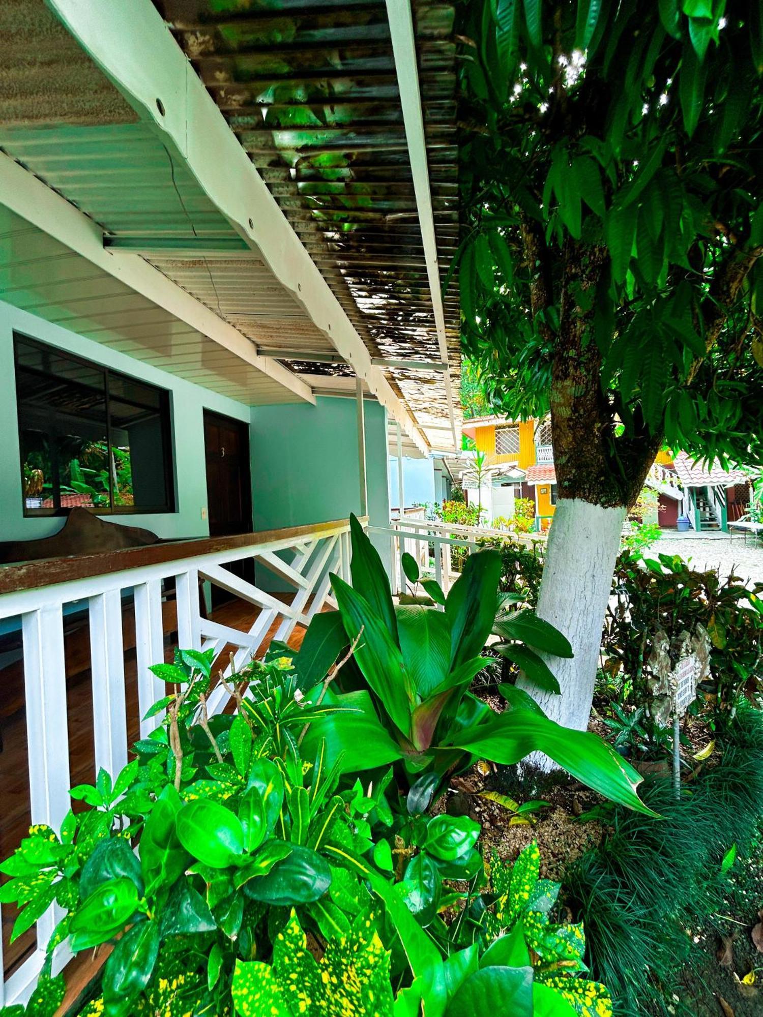 Puerto Viejo de Talamanca Cabinas Ole Caribe מראה חיצוני תמונה